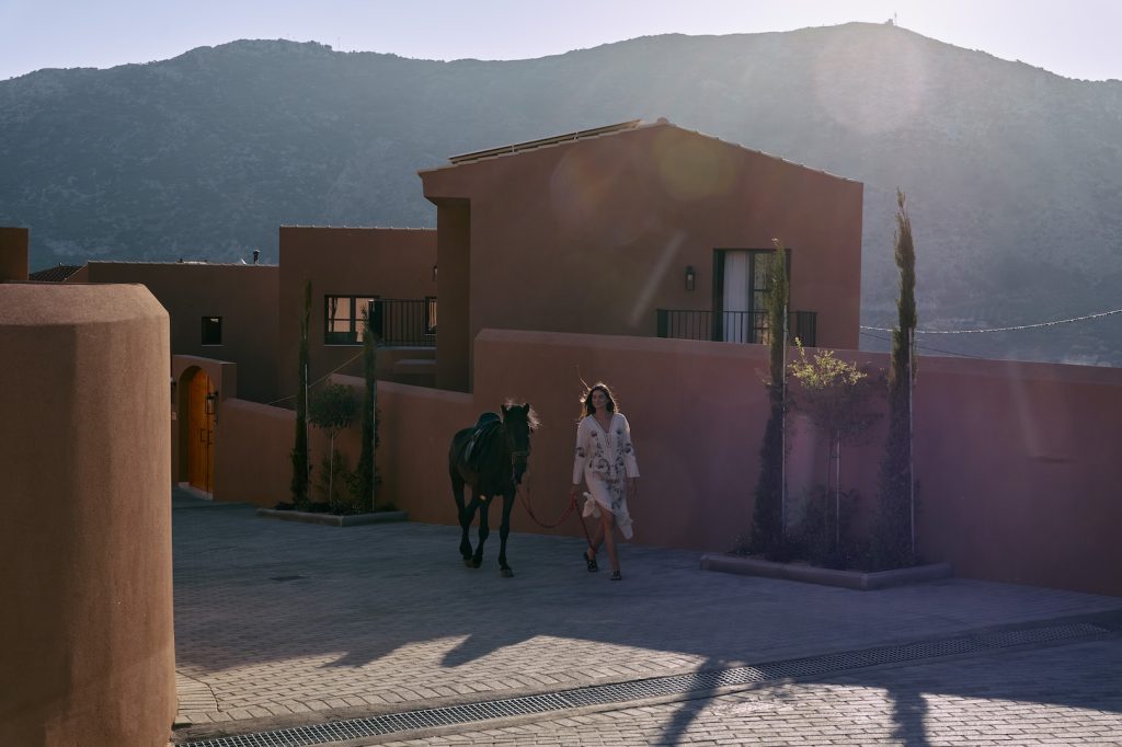 arcasa homepage photo